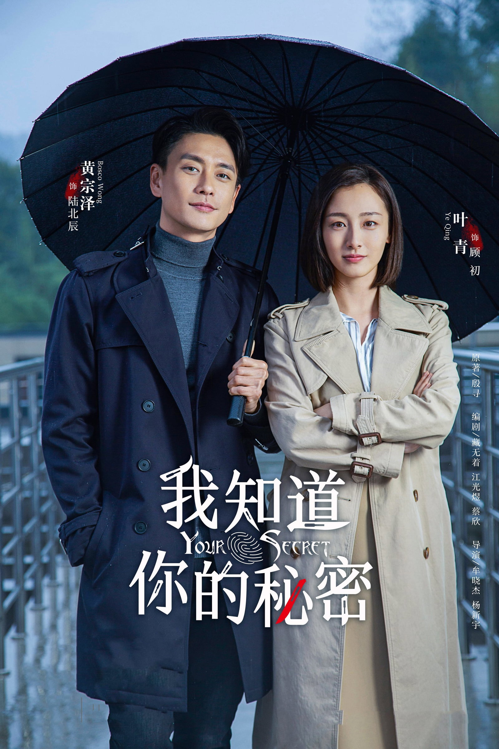 ซีรีส์ พลิกซากล่าคดีลับ ซับไทย ครบทุกตอน ดูฟรี HD