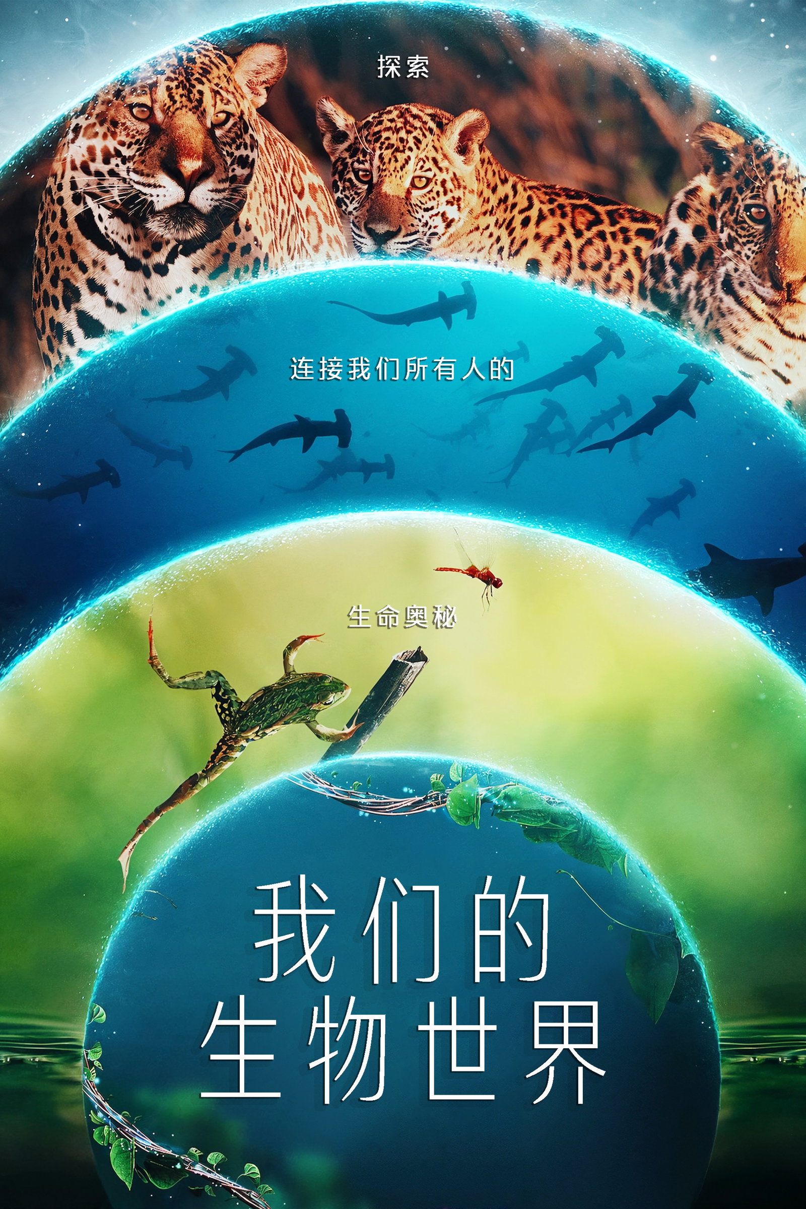 ซีรีส์ โลกที่เราอยู่ ซับไทย ครบทุกตอน ดูฟรี HD