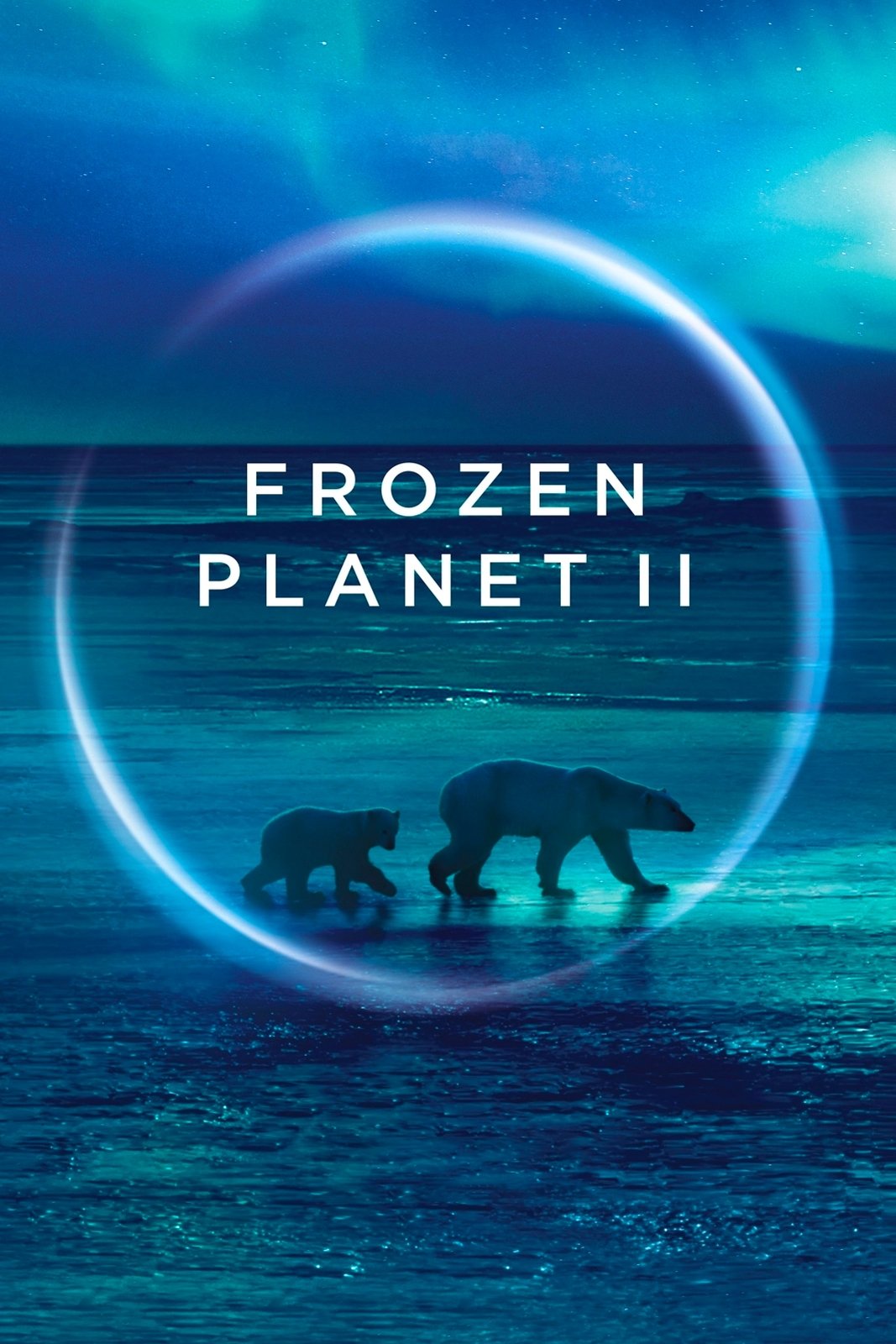 ซีรีส์ Frozen Planet II ซับไทย ครบทุกตอน ดูฟรี HD