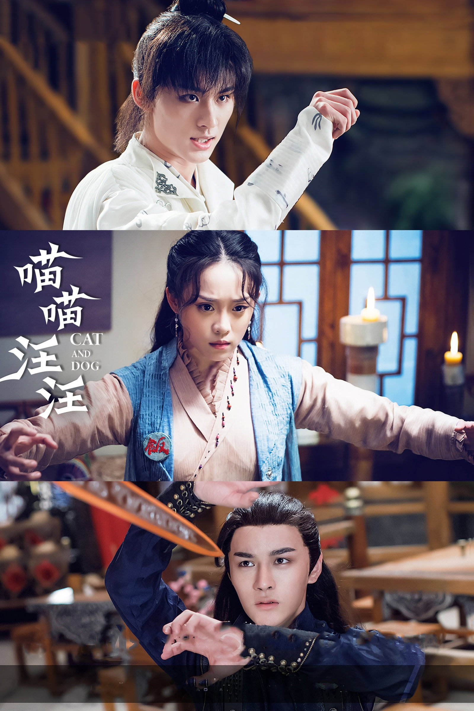 ซีรีส์ แมวเหมียวโฮ่ง ๆ ซับไทย ครบทุกตอน ดูฟรี HD