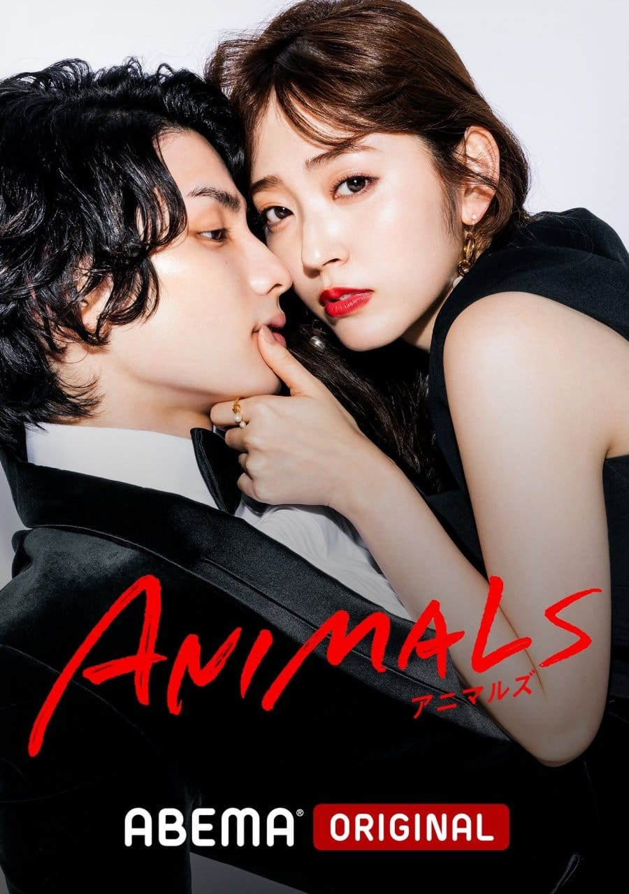 ซีรีส์ ตามรัก ตามฝัน ซับไทย ครบทุกตอน ดูฟรี HD