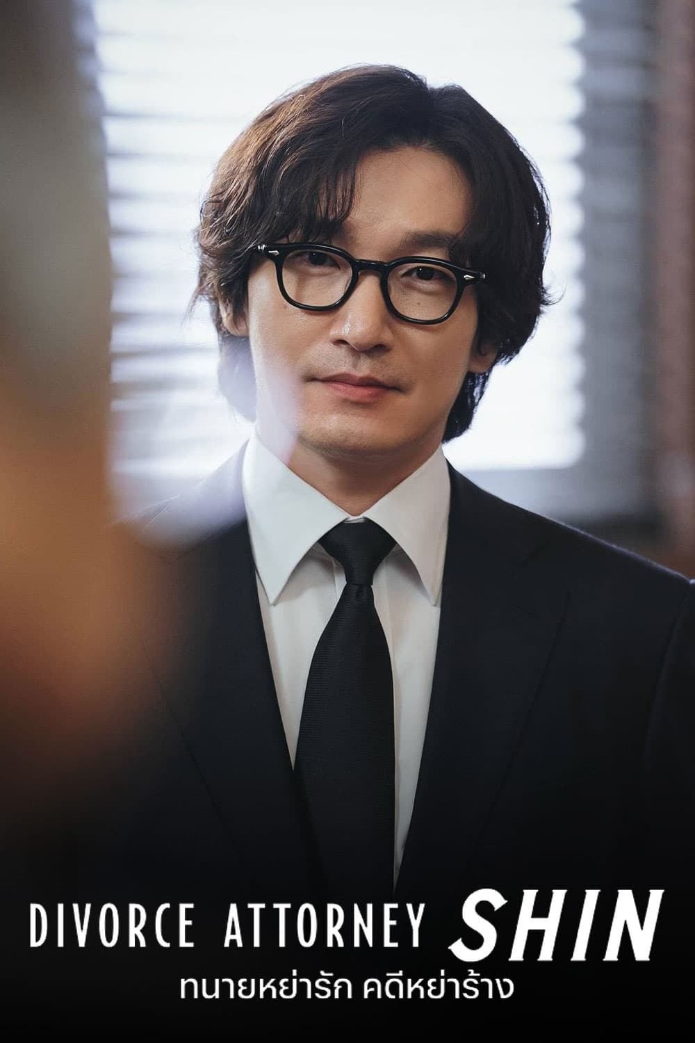 ซีรีส์ ทนายหย่ารัก คดีหย่าร้าง ซับไทย ครบทุกตอน ดูฟรี HD