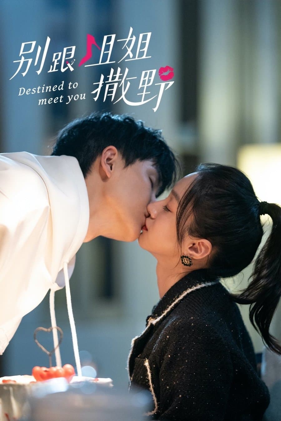 ซีรีส์ เดสทินี รักนี้พี่ขอ ซับไทย ครบทุกตอน ดูฟรี HD