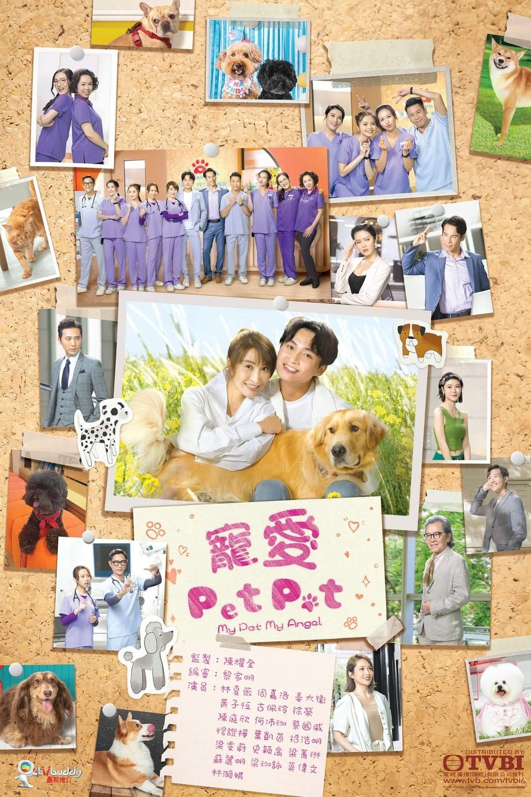 ซีรีส์ Pet Pet คลินิกหรรษา ซับไทย ครบทุกตอน ดูฟรี HD