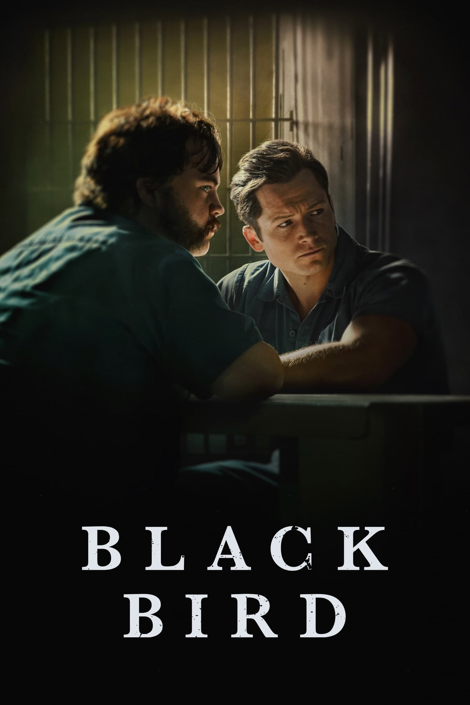 ซีรีส์ Black Bird ซับไทย ครบทุกตอน ดูฟรี HD