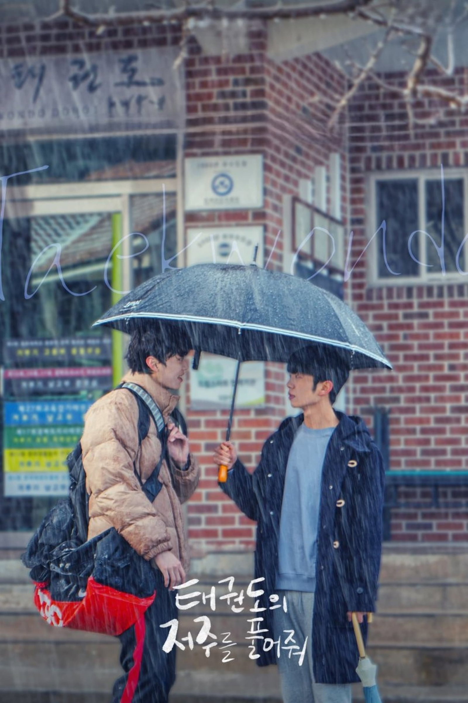 ซีรีส์ ปลดล็อกคำสาปของเทควันโด ซับไทย ครบทุกตอน ดูฟรี HD